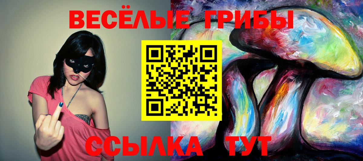 Галлюциногенные грибы GOLDEN TEACHER  Псилоцибиновые грибы мицелий  Вход с VPN  Ленинск-Кузнецкий 